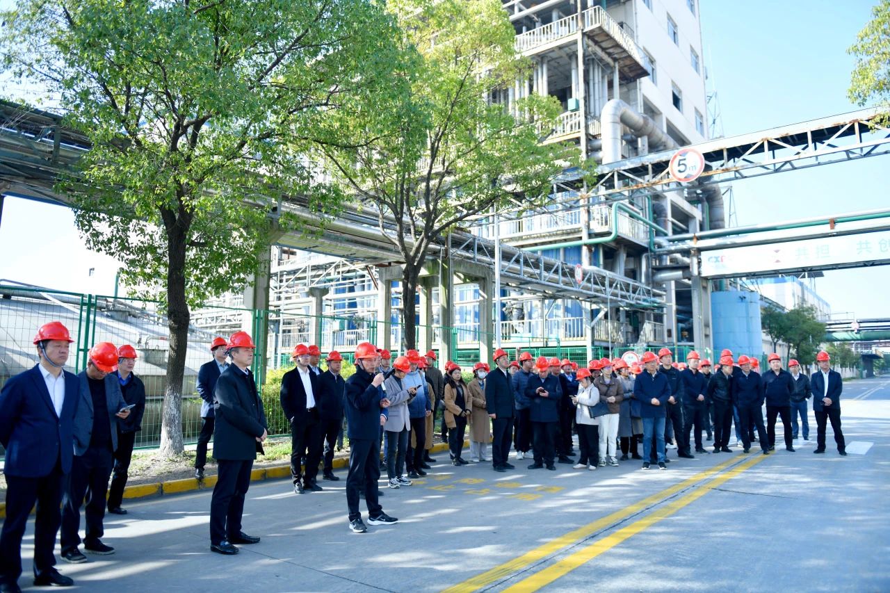 推进涉磷企业环保整治,助力太湖综合治理——省生态环境厅及苏锡常镇各市领导莅临我公司视察调研
